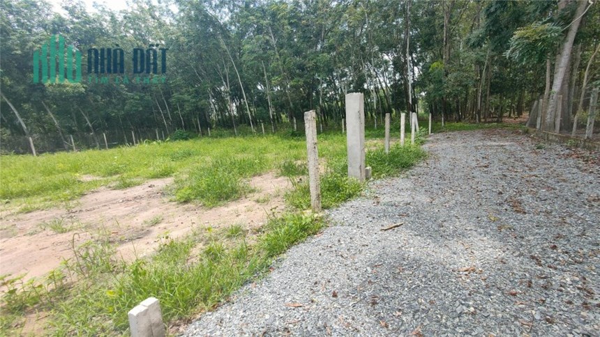 Đất gần Khu Công Nghiệp, cơ hội đầu tư sinh lợi cao