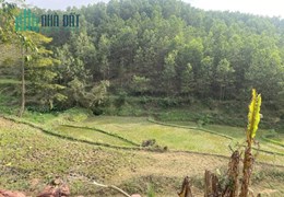 Sở Hữu Ngay Siêu Phẩm Đẹp Tại Xã Lạc Lương, Huyện Yên Thuỷ, Hoà Bình