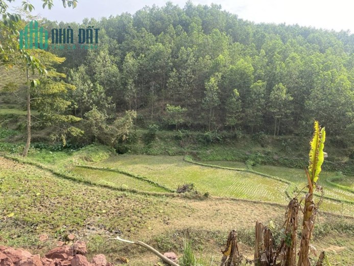 Sở Hữu Ngay Siêu Phẩm Đẹp Tại Xã Lạc Lương, Huyện Yên Thuỷ, Hoà Bình