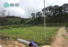( Gấp Gấp ) Chủ gửi bán mảnh đất đẹp ở Đa Chais, Lạc Dương 1850m2 chỉ 1.9 tỷ