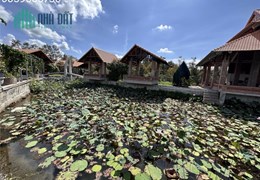 Kinh Doanh Và Cho Thuê Bất Động Sản: Đầu Tư An Toàn, Lợi Nhuận Ổn Định