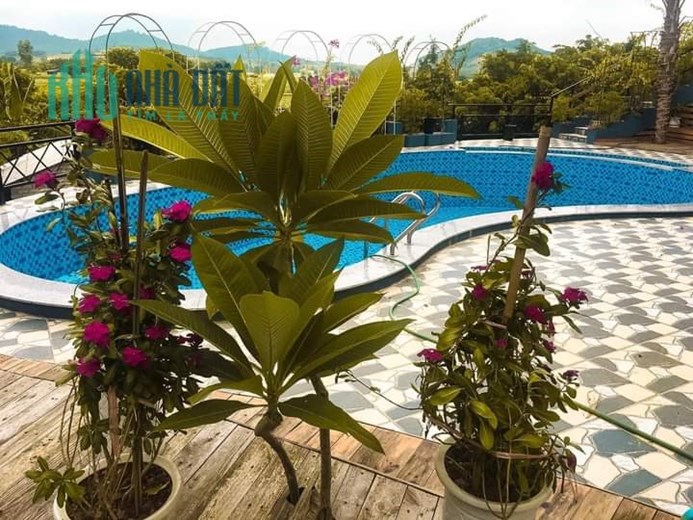 Bán Căn Homestay Ba Vì 1612m2 x 2 tầng , Tọa Lạc Trong Khu Du Lịch Khoang Xanh Suối Tiên giá 32. tỷ