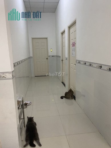 Cho thuê Nhà cấp 4, 110m2, 3 phòng ngủ, 2 WC, đường CMT8, TP Biên Hoà