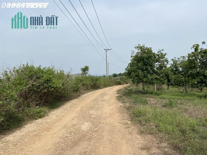 Siêu phẩm đất cách Quốc Lộ 1A chỉ vài bước chân, đất vuông vức như chiếc bánh chưng Tết