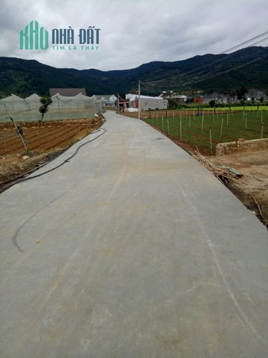Đất hẻm quốc lộ 20 gần trường tiểu học klong hiệp an đức trọng 1,95 tỷ