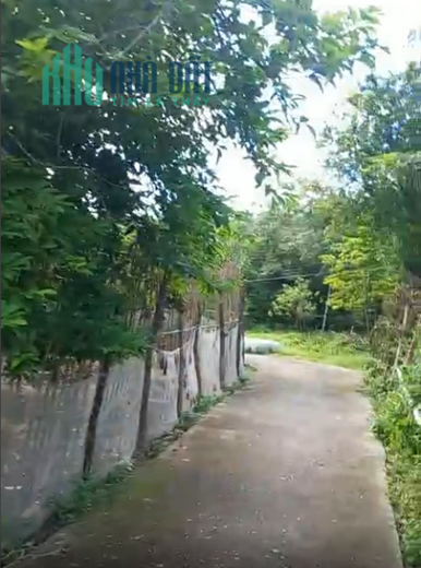 ĐẤT NỀN CÔ TÔ GẦN BÃI BIỂN BẮC VÀN CẦN BÁN GẤP TRẢ NỢ