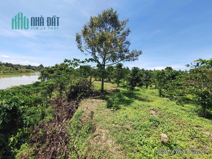 Lô đất bán đảo mini tuyệt đẹp thiện chí ninh gia oto đi thoải mái 10 tỷ