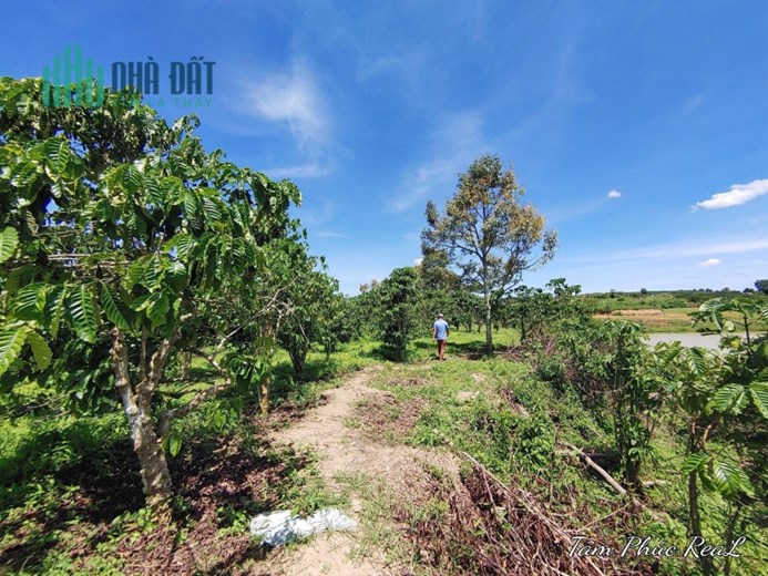 Lô đất bán đảo mini tuyệt đẹp thiện chí ninh gia oto đi thoải mái 10 tỷ