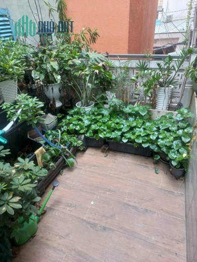 Nhà Phú Nhuận, Hoàng Diệu P10, 37m2, 2 tầng, nhỉnh 3 tỷ