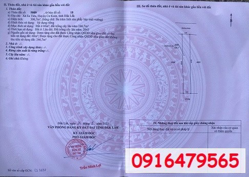 ⭐Chính chủ bán lô đất xã Ea Tiêu, Cư Kuin, Đắk Lắk; 520tr; 0916479565