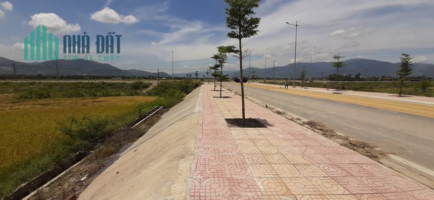 Bán 3 lô lúa MT D6 XÓM MỚI DIÊN LẠC, DIÊN KHÁNH