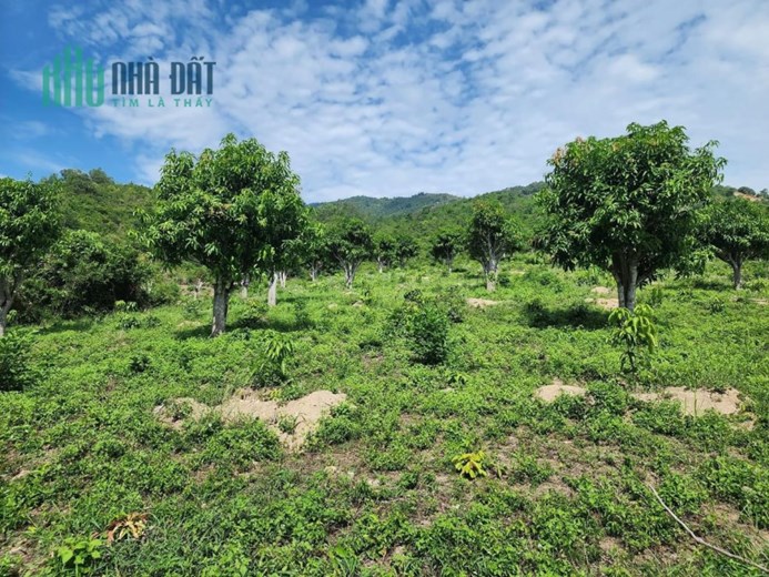 Sở Hữu Ngay Lô Đất Đẹp Tại Xã Suối Tiên, Huyện Diên Khánh, Tỉnh Khánh Hoà