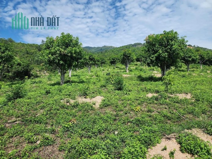 Sở Hữu Ngay Lô Đất Đẹp Tại Xã Suối Tiên, Huyện Diên Khánh, Tỉnh Khánh Hoà