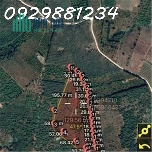 CẦN BÁN 4HA ĐẤT RẪY + NHÀ TẠI ĐAKNÔNG