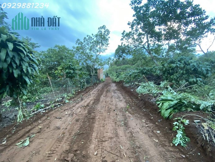 CẦN BÁN 4HA ĐẤT RẪY + NHÀ TẠI ĐAKNÔNG