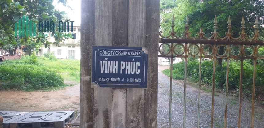 Chính chủ  cần tiền bán nhanh  công ty kèm tài sản trên đất 3 ha và  nhà xưởng thuộc Xã Tam Hợp,