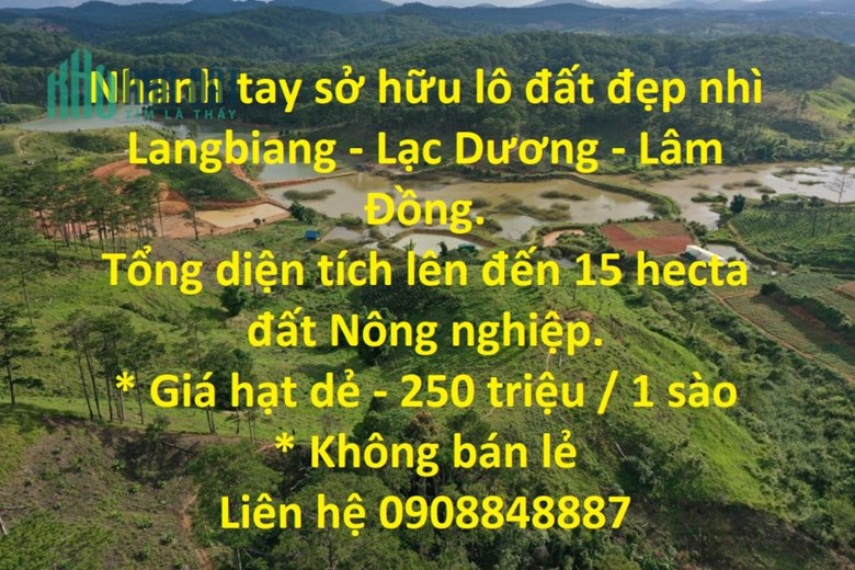 Nhanh tay sở hữu lô đất đẹp nhì Langbiang - Lạc Dương - Lâm Đồng.