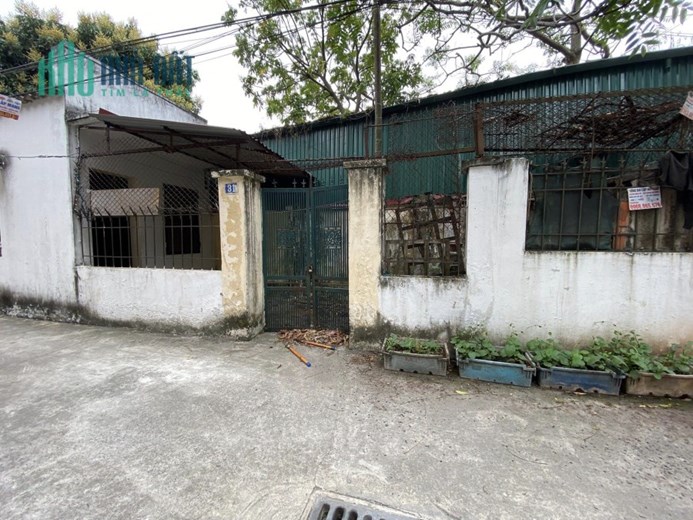 bán đất Ngọc Thuỵ trong đê 54m oto vào đất, lô góc, khu phân lô, giá chỉ nhỉnh 3 tỷ vẫn Thương