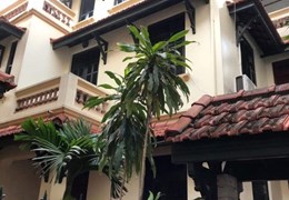 Cho Thuê Tòa Biệt Thự - Đào Tấn Đơn Lập, 3 Thoáng, Sân Rộng , 125m, 4 tầng,  6 PN, mt 8m, 25 triệu