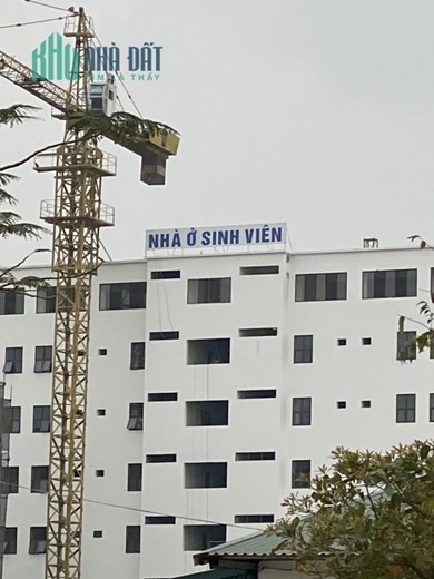 Cắt lỗ sâu liền kề trục chính 24m khu A Cienco5 Mê Linh, gần cổng trường ĐH Tài chính ngân hàng
