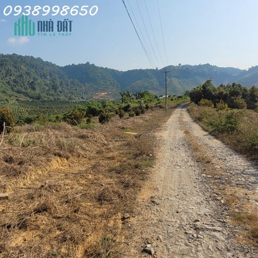 Cần bán 5ha vườn sầu riêng trên 2 năm tuổi Xã Triệu Hải, Đạ Tẻh, Lâm Đồng