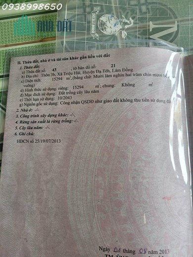 Cần bán 5ha vườn sầu riêng trên 2 năm tuổi Xã Triệu Hải, Đạ Tẻh, Lâm Đồng