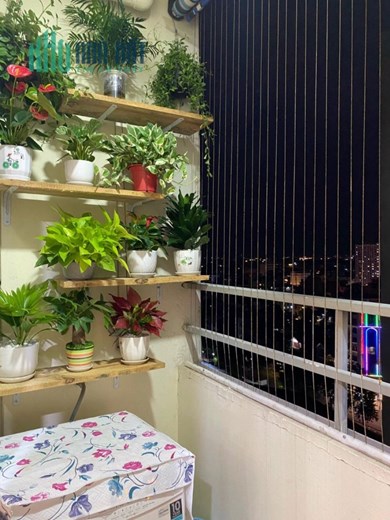 Chính chủ bán căn Chung Cư Cát Tường TNT CT4 tại phường Võ Cường TP Bắc Ninh:
