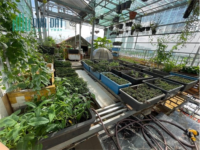 75m2 CHỈ 6,8 TỶ NHÀ ĐẸP CHỦ TẶNG TOÀN BỘ NỘI THẤT CAO CẤP GỖ QUÝ