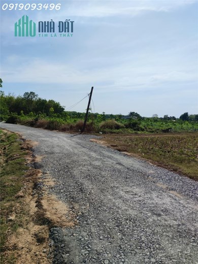 Kẹt tiền nên sang gấp lại mảnh đất hơn 3 công bên tây ninh