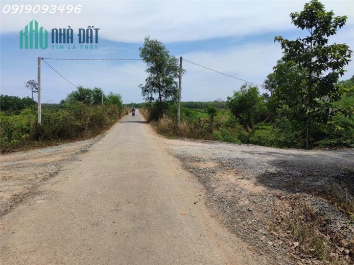Kẹt tiền nên sang gấp lại mảnh đất hơn 3 công bên tây ninh