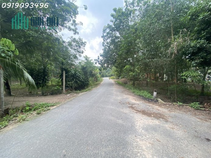 BÁN ĐẤT BÌNH DƯƠNG MT 90M2, ĐẤT ODT 110%