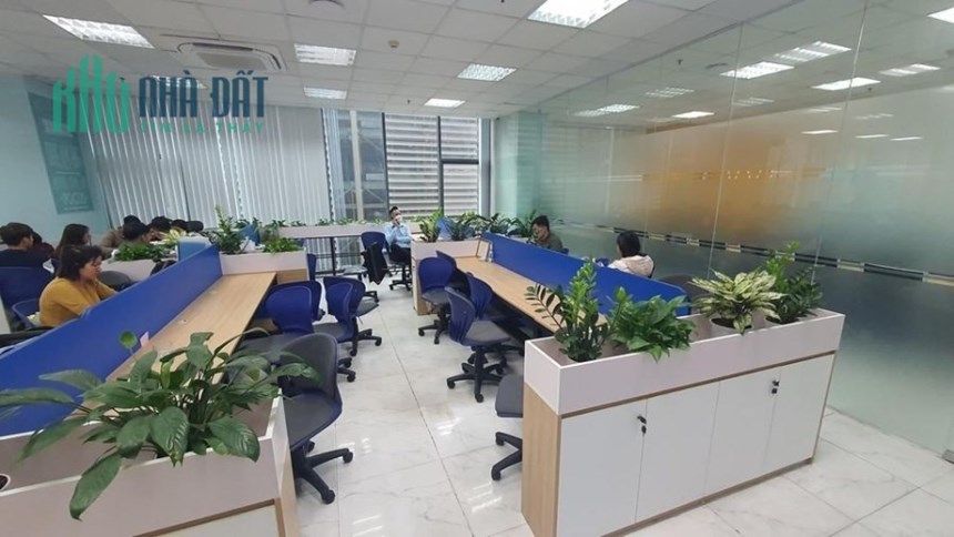 Bán Toà Nhà Đẹp Nhất Phố Trần Quang Diệu, 110m2 8 Tầng Mặt Tiền Gần 7m Giá Chỉ 65 Tỷ
