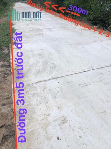 Chính Chủ Bán Lóc Nền Tân Long Hội Mang Thít Vĩnh Long