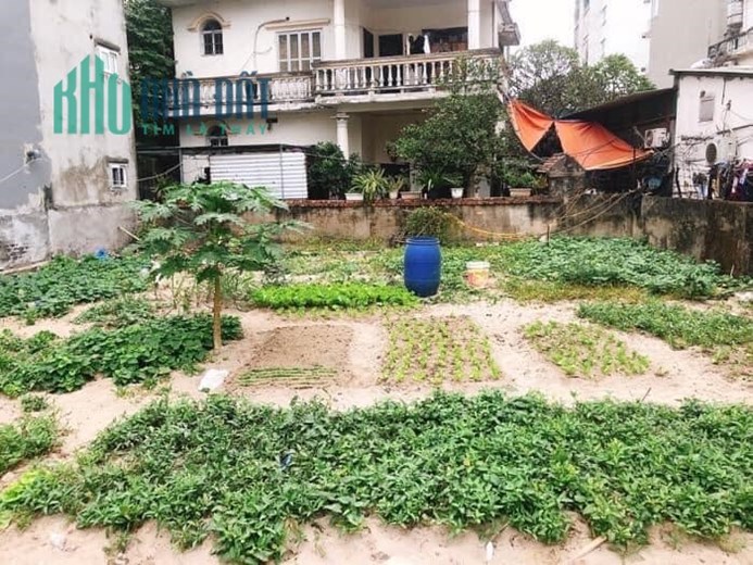 CỰC HIẾM, BÁN  ĐẤT THỤY KHUÊ, TÂY HỒ, 166 M, MT 13M, GIÁ 13 TỶ 2, LÔ GÓC, ĐẦU TƯ XÂY CCMN.