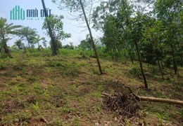 Chính chủ cần tiền bán nhanh lô đất Thuộc bản Tà Lèng, TP Điện Biên Phủ, Điện Biên