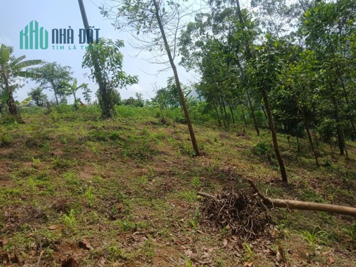 Chính chủ cần tiền bán nhanh lô đất Thuộc bản Tà Lèng, TP Điện Biên Phủ, Điện Biên