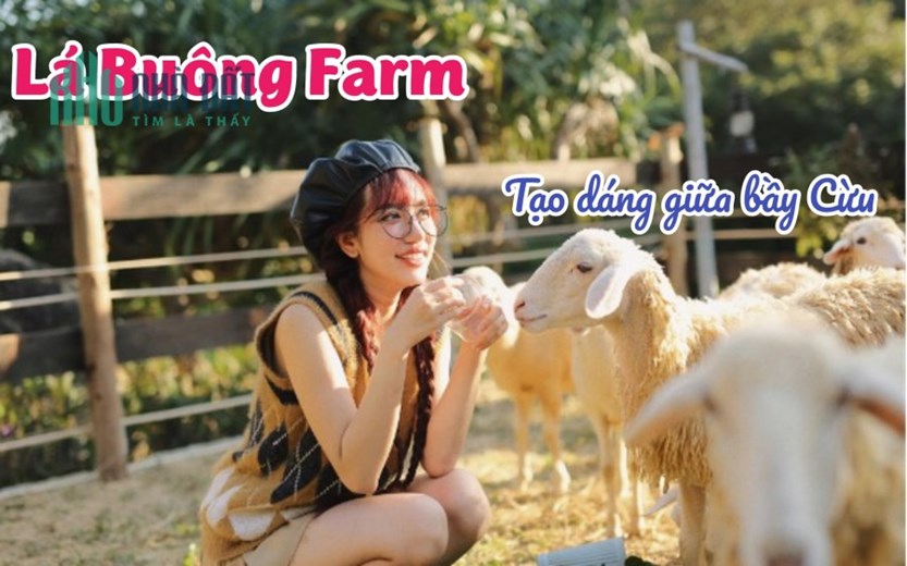 FARMSTAY KHÁNH HOÀ 20ha giá chỉ 25 tỷ đang hoạt động