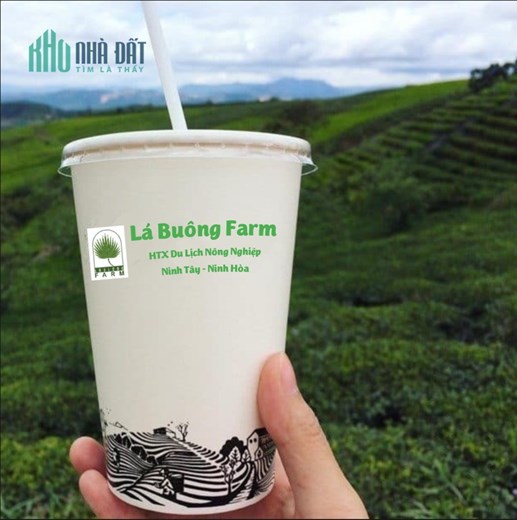 FARMSTAY KHÁNH HOÀ 20ha giá chỉ 25 tỷ đang hoạt động