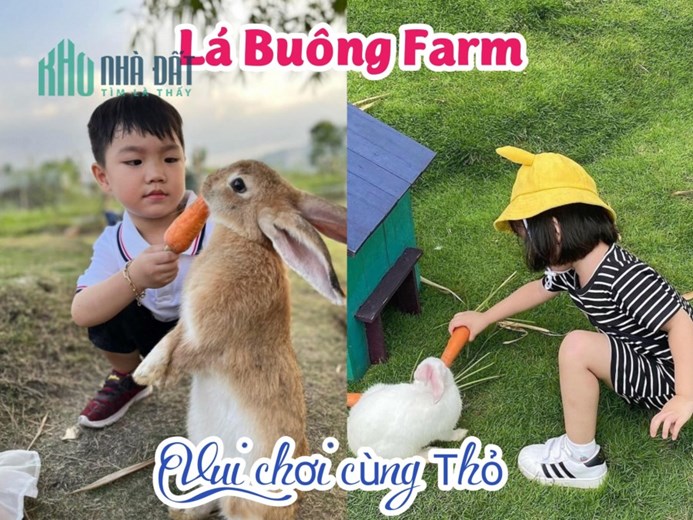 FARMSTAY KHÁNH HOÀ 20ha giá chỉ 25 tỷ đang hoạt động