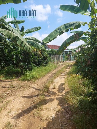 Bán gấp lô đất QL 29, X. Ea Dăh , Krông Năng, Đắk Lắk