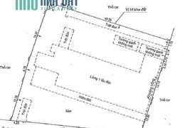 Cho thuê 2.000m2 mặt tiền 326a Nguyễn trọng tuyển, Phường1, Quận tân bình