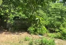 Bán hoặc cho thuê đất Kim Đường, Ứng Hòa, Hà Nội.