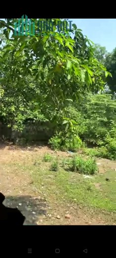 Bán hoặc cho thuê đất Kim Đường, Ứng Hòa, Hà Nội.