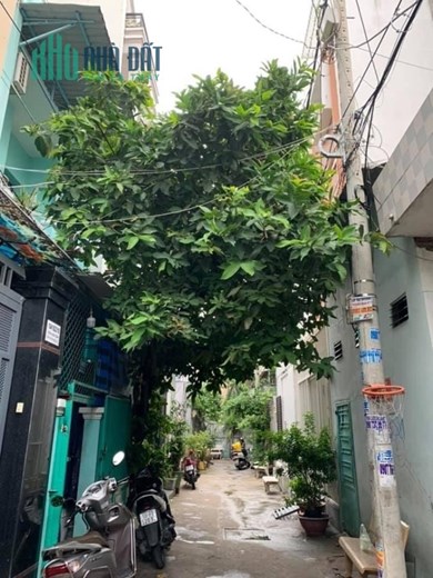 Chính chủ cho thuê nhà nguyên căn hẻm xe hơi - 1041 Trần Xuân Soạn Q7. Lh:0945857249