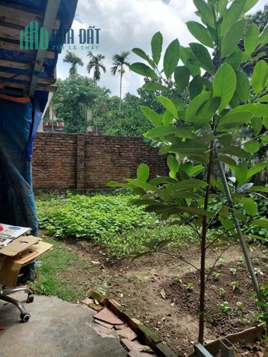 Quang Tiến 58m đất,5m ô tô, MT 5.3m, chỉ 2 tỷ 79