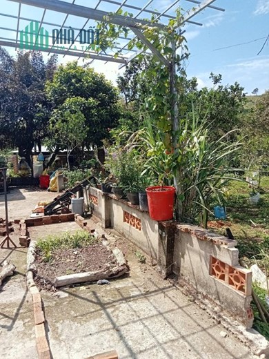 Cần Bán Gấp Lô Đất Đẹp Gía Đầu Tư Tại Thôn 8, Xã Lộc Nam, Bảo Lâm,  Lâm Đồng