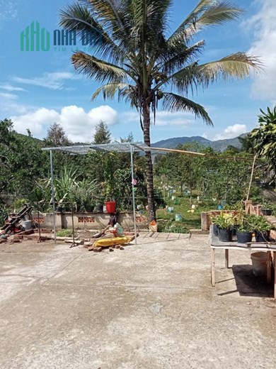 Cần Bán Gấp Lô Đất Đẹp Gía Đầu Tư Tại Thôn 8, Xã Lộc Nam, Bảo Lâm,  Lâm Đồng