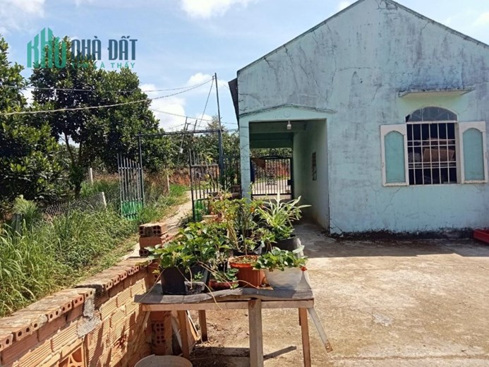 Cần Bán Gấp Lô Đất Đẹp Gía Đầu Tư Tại Thôn 8, Xã Lộc Nam, Bảo Lâm,  Lâm Đồng