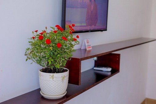 Sắp đi định cư nước ngoài CHÍNH CHỦ BÁN Khách Sạn đang kinh doanh rất hiệu quả Vị Trí Đắc Địa bật