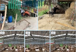 Chính chủ cần bán trang trại nhỏ xinh nằm tại Xã Kỳ Phú - Nho Quan - Ninh Bình.
